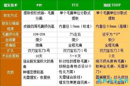 TDDP植发技术